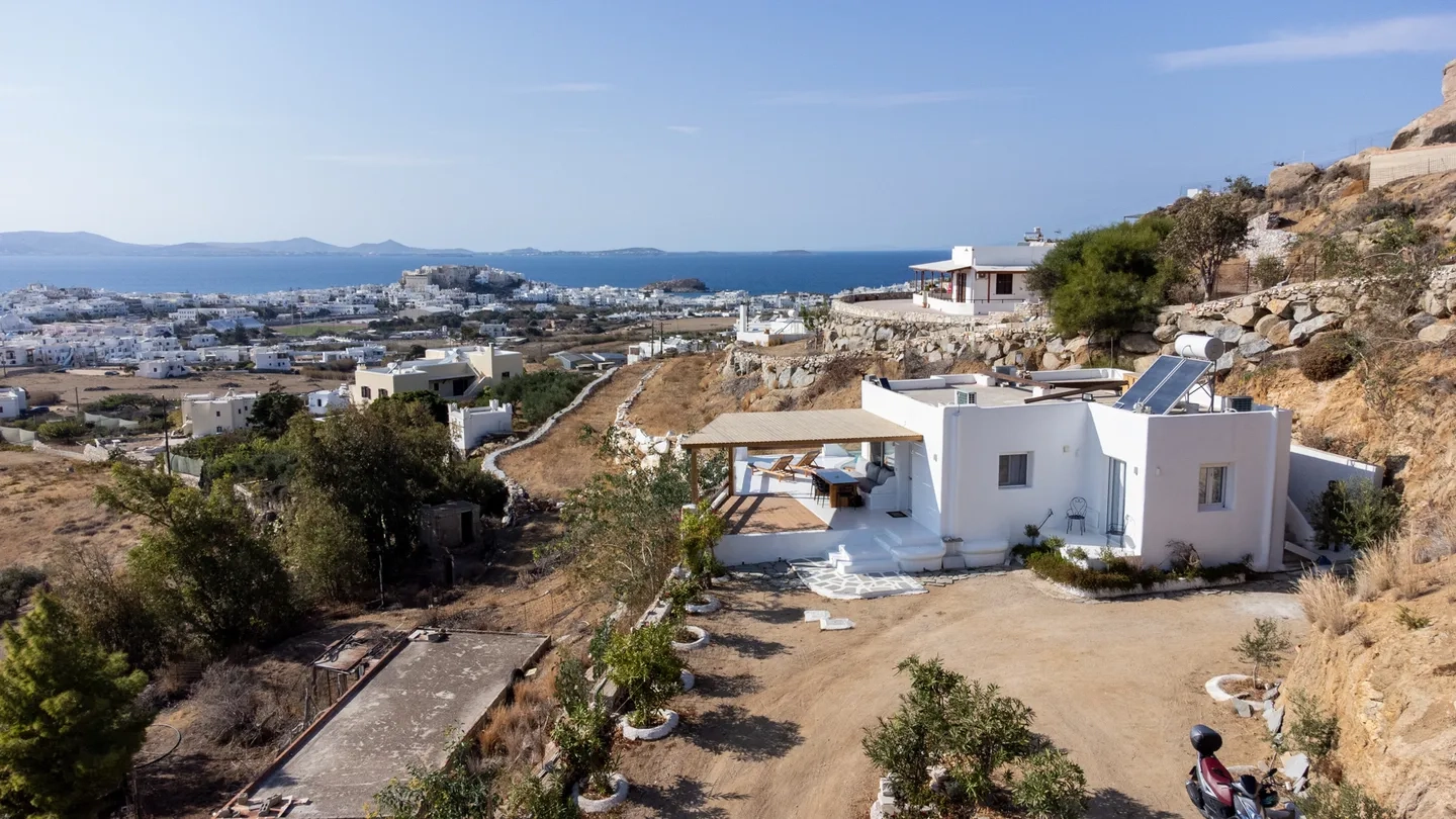 nesoi new design (1)